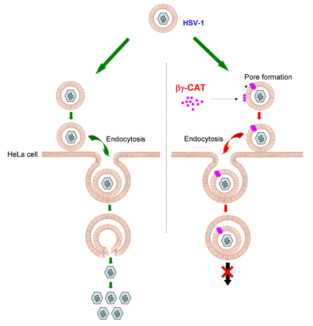 电子游戏app下载安装