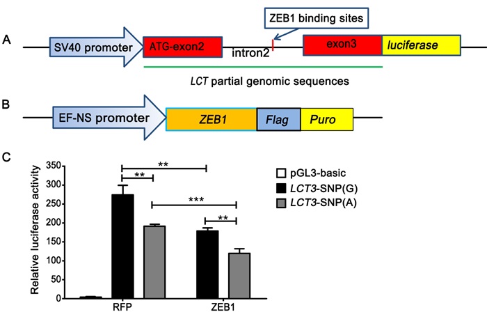 电子游戏app下载安装