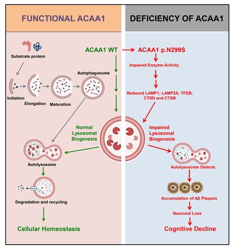 电子游戏app下载安装