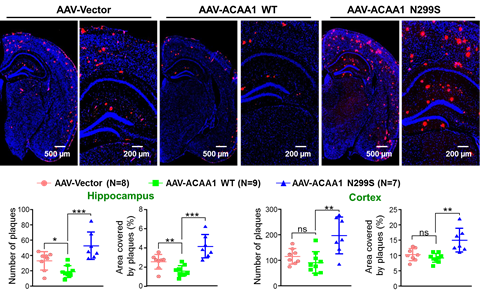 电子游戏app下载安装