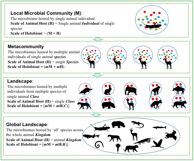 电子游戏app下载安装