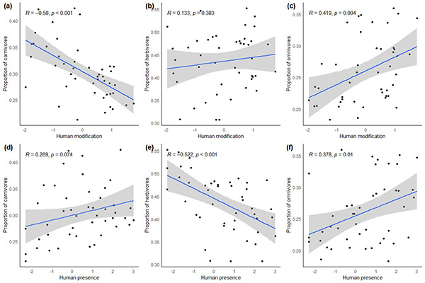 电子游戏app下载安装