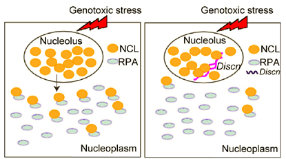 电子游戏app下载安装