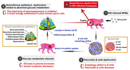 电子游戏app下载安装
