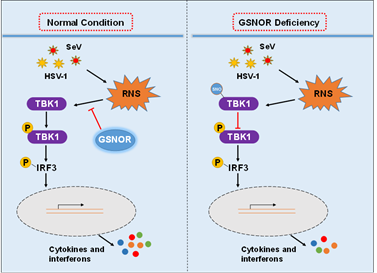 电子游戏app下载安装