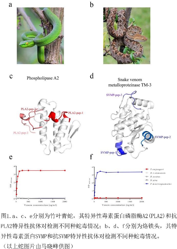 电子游戏app下载安装