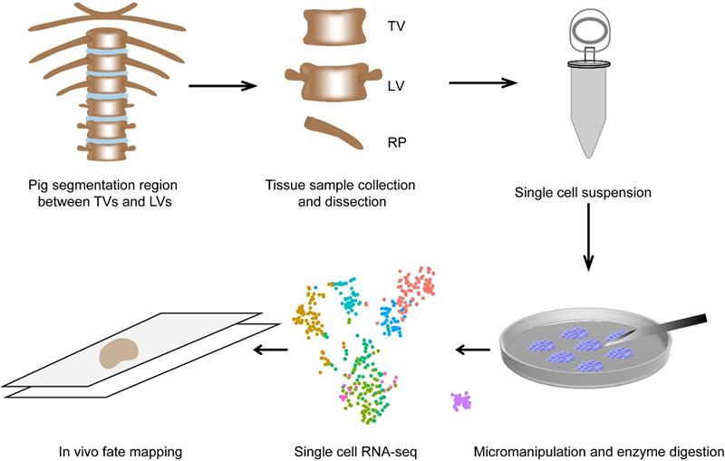 电子游戏app下载安装
