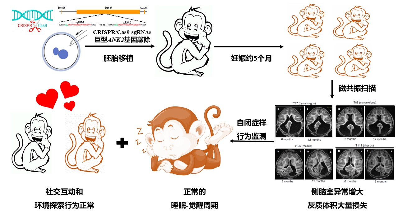 电子游戏app下载安装
