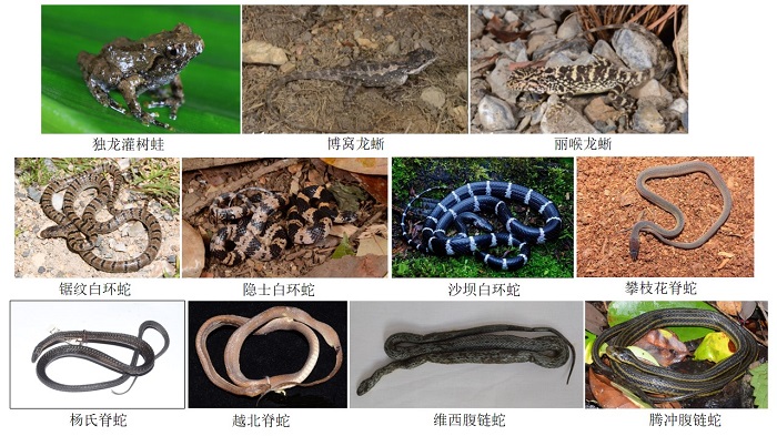 电子游戏app下载安装