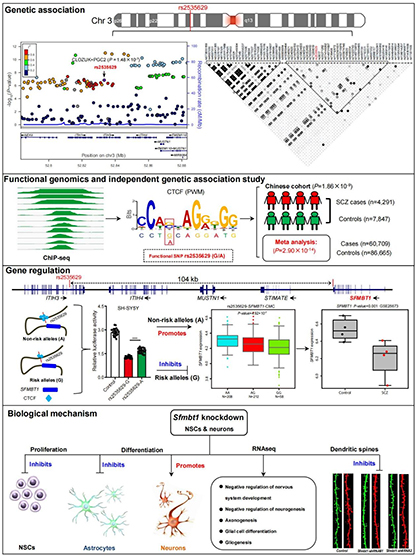 电子游戏app下载安装