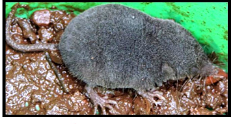 电子游戏app下载安装