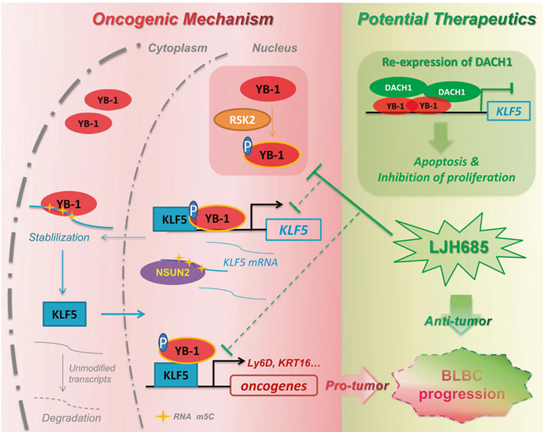 电子游戏app下载安装