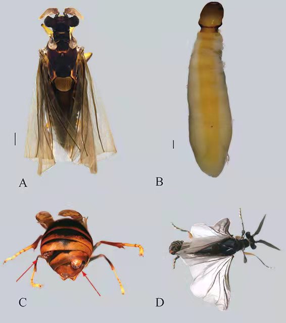 电子游戏app下载安装