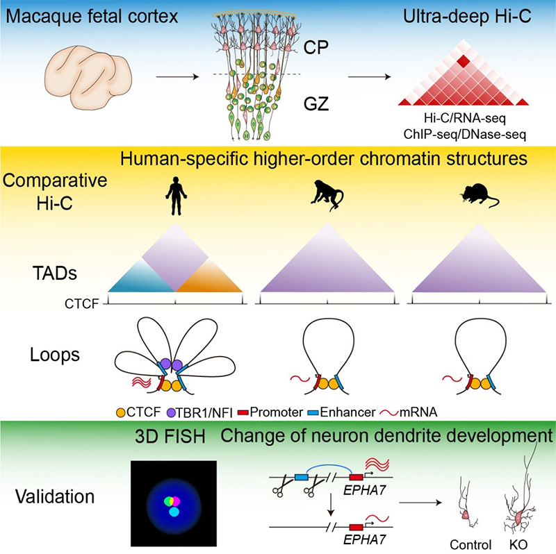 电子游戏app下载安装