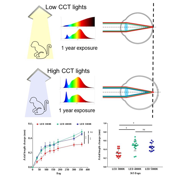 电子游戏app下载安装