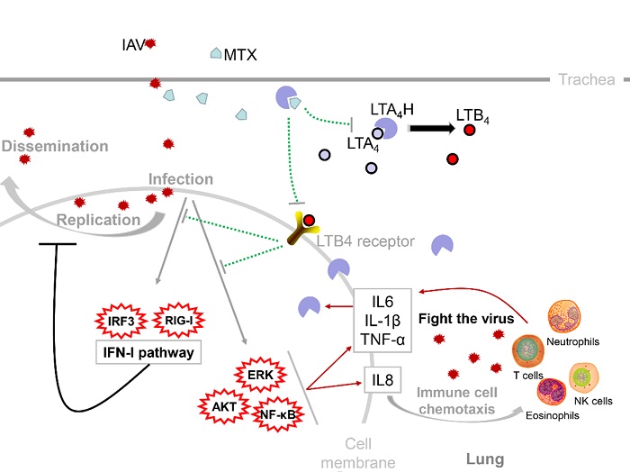 电子游戏app下载安装