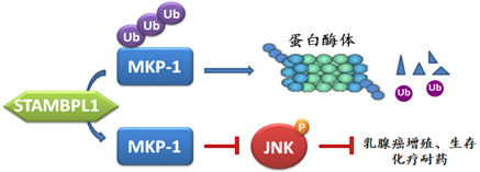 电子游戏app下载安装