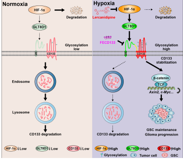 电子游戏app下载安装