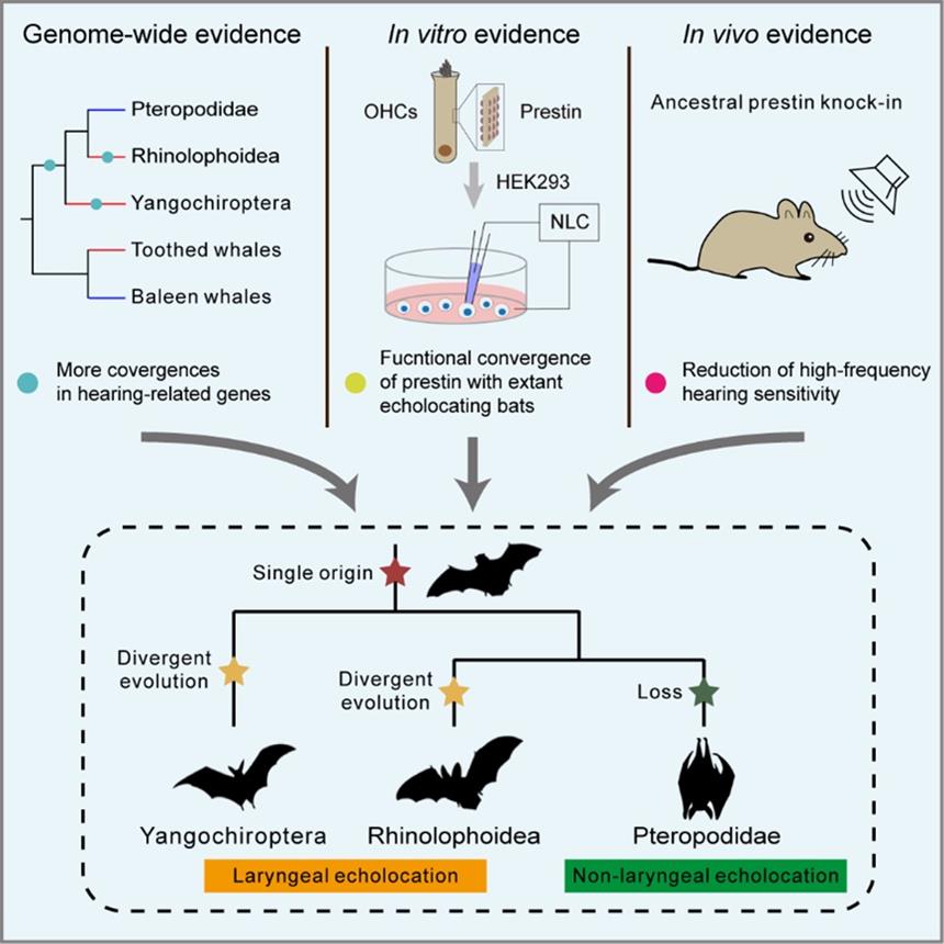 电子游戏app下载安装