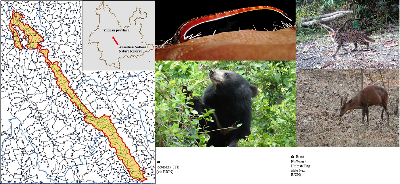电子游戏app下载安装