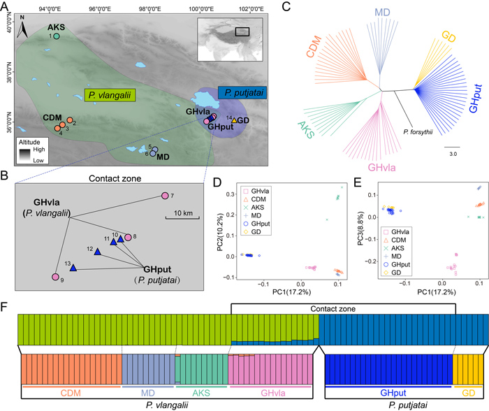 电子游戏app下载安装