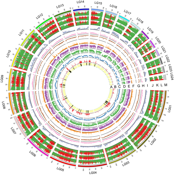 电子游戏app下载安装