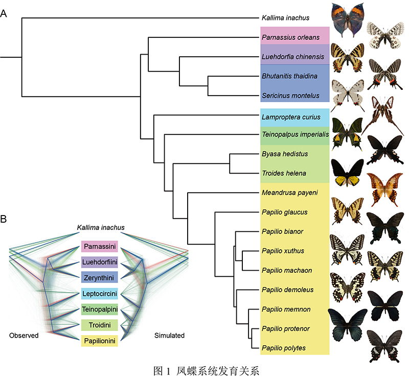 电子游戏app下载安装