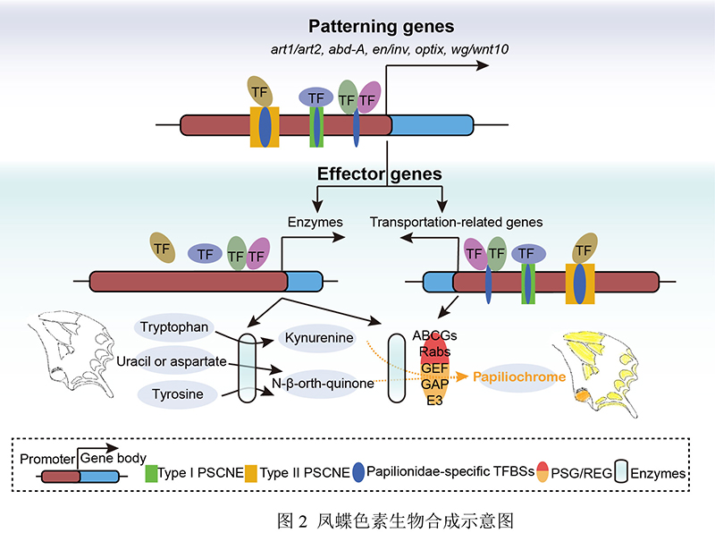 电子游戏app下载安装