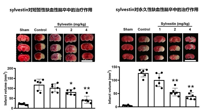 电子游戏app下载安装