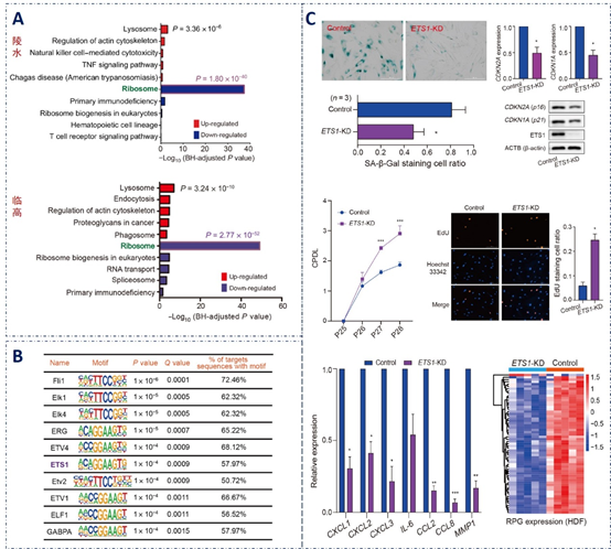 电子游戏app下载安装