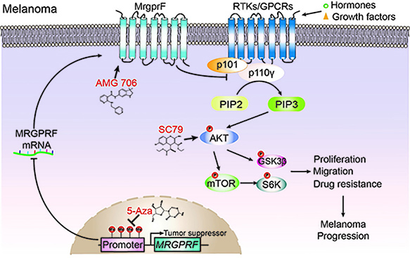 电子游戏app下载安装