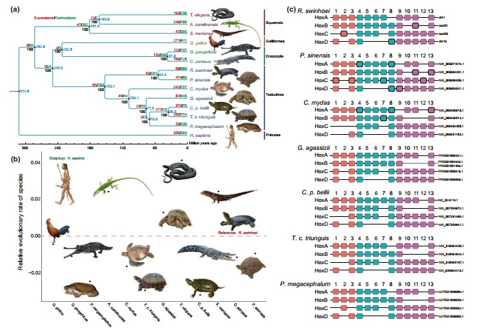 电子游戏app下载安装
