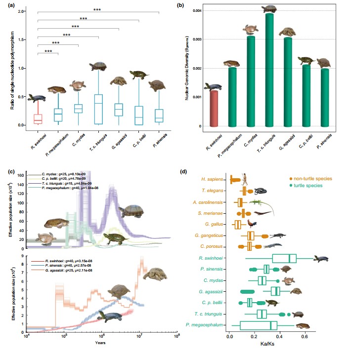 电子游戏app下载安装