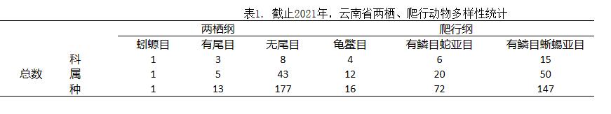 电子游戏app下载安装