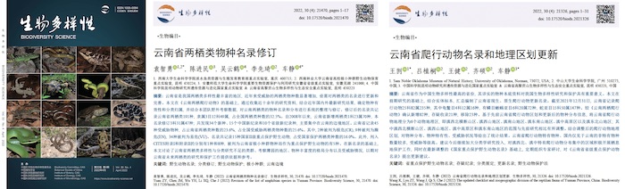 电子游戏app下载安装