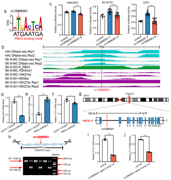电子游戏app下载安装