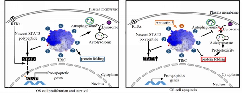 电子游戏app下载安装