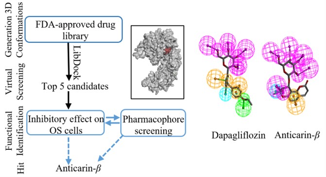 电子游戏app下载安装