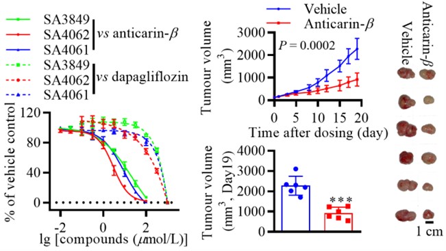 电子游戏app下载安装