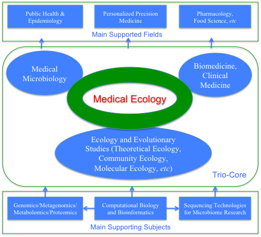电子游戏app下载安装