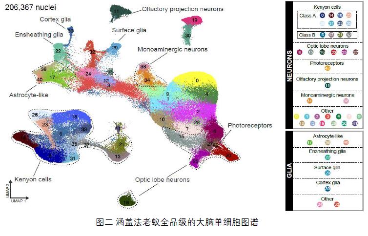 电子游戏app下载安装