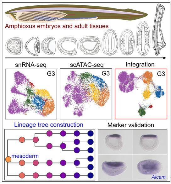 电子游戏app下载安装
