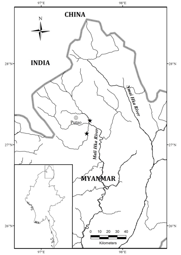电子游戏app下载安装