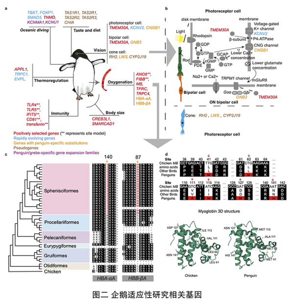 电子游戏app下载安装
