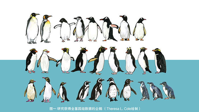 电子游戏app下载安装