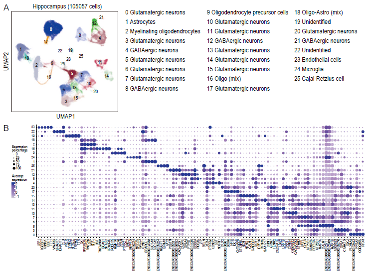 电子游戏app下载安装