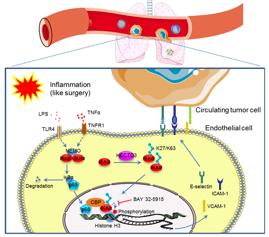 电子游戏app下载安装