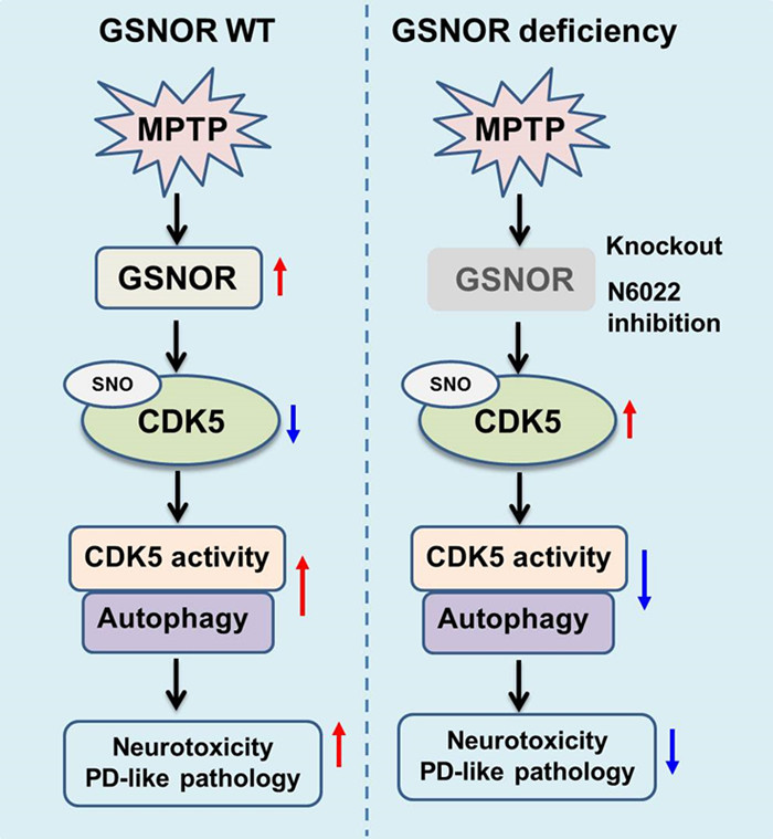 电子游戏app下载安装