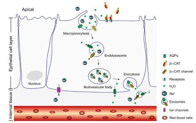 电子游戏app下载安装