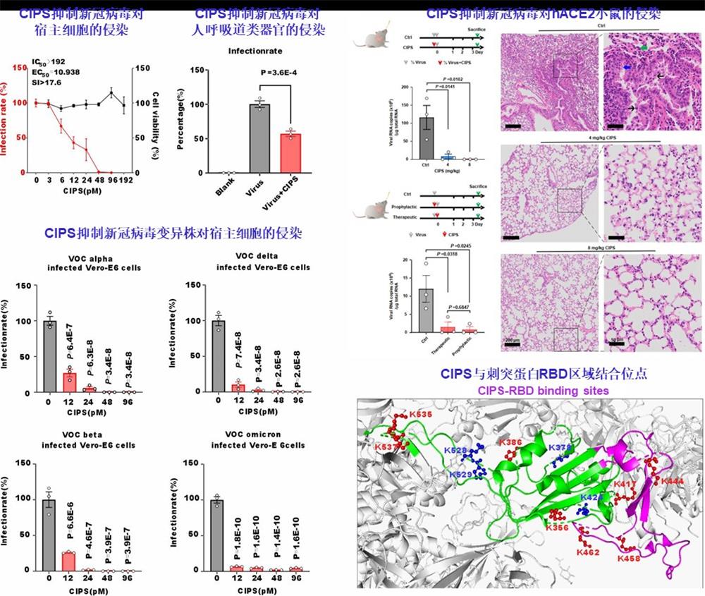电子游戏app下载安装